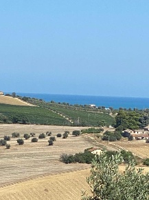 Foto Terreno edificabile a Colonnella di 12000 m² in vendita