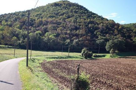 Foto Terreno agricolo a Arcugnano di 28055 m² in vendita