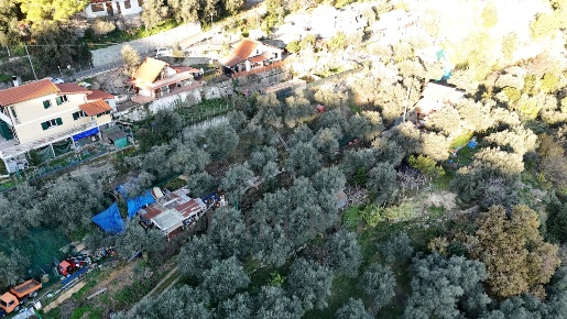 Foto Terreno agricolo in Strada degli Olandesi, Camporosso di 2346 m²