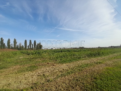 Foto Terreno agricolo a Campodoro in vendita