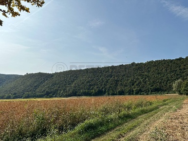 Foto Terreno agricolo in via san rocco, Arcugnano di 34276 m² in vendita