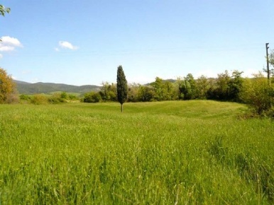 Foto Terreno agricolo in Via del Gonnellino, Castellina Marittima di 25 m²