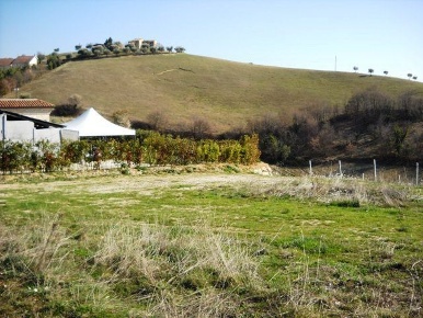 Foto Terreno edificabile in contrada, Castorano Centro di 1750 m²