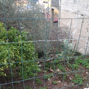Foto Terreno edificabile a Canicattini Bagni di 400 m² in vendita