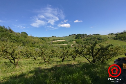 Foto Terreno agricolo in Via San Tomaso, Cesena Saiano - San Tomaso