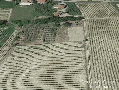 Foto Terreno agricolo in Via Ascianello, Montepulciano di 370 m² in vendita