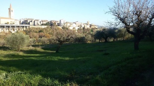 Foto Terreno edificabile a Appignano del Tronto Centro di 900 m² in vendita