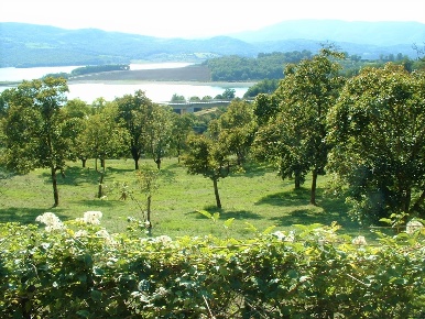 Foto Terreno agricolo in Via Nazionale, Barberino di Mugello di 5000 m²