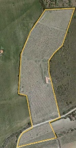 Foto Terreno agricolo a Sorso di 28000 m² in vendita