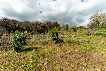 Foto Terreno agricolo in via giuseppe zinghirino 1, Giarre di 10000 m²