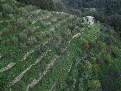 Foto Terreno agricolo in Via delle Otto Case 94, Ventimiglia di 2093 m²