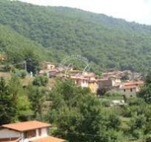 Foto Terreno agricolo a Seravezza di 3500 m² in vendita