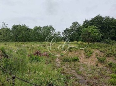 Foto Terreno agricolo a Seravezza di 3500 m² in vendita