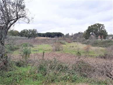Foto Terreno agricolo in Strada Scalette 33, Tivoli di 7500 m² in vendita