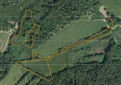 Foto Terreno agricolo in VIA PLANEZ SNC, Cividale del Friuli di 22560 m²
