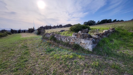 Foto Terreno agricolo in Località Traversa Livornese la Maestà, in vendita