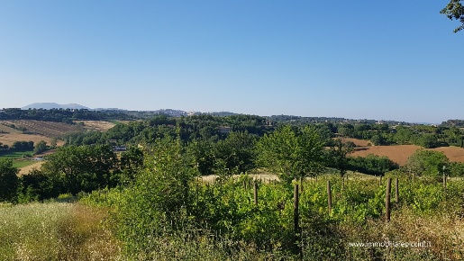 Foto Terreno agricolo a Perugia San Martino in Colle - Sant'Enea in vendita