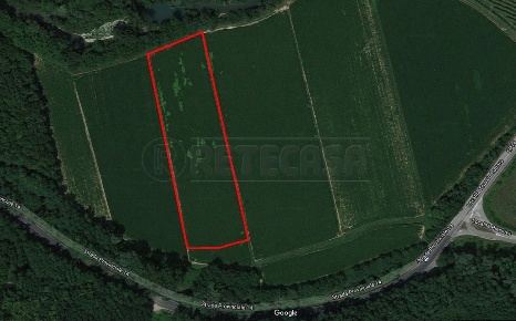 Foto Terreno agricolo in Strada Provinciale 14 S.N.C, Cormons di 8790 m²