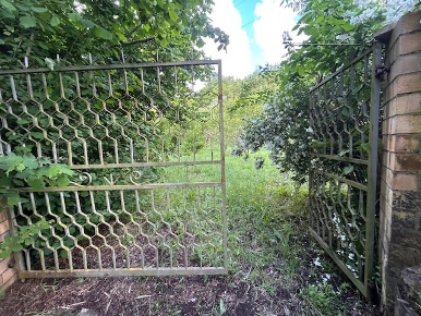 Foto Terreno agricolo in Vocabolo Campetella 19, Guidonia Montecelio