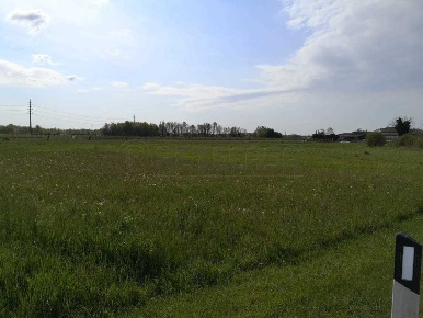 Foto Terreno edificabile in SP54 5, San Vito al Torre di 795 m² in vendita
