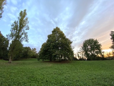 Foto Terreno agricolo a Albinea di 6421 m² in vendita