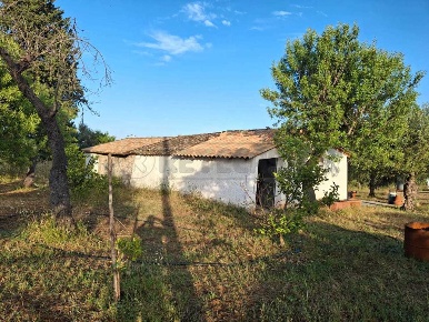 Foto Terreno agricolo in C/da MONASTERIC/da MONASTERI Sotto, Siracusa