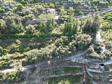 Foto Terreno agricolo in Via Silvio Pellico 10, Bordighera Montenero