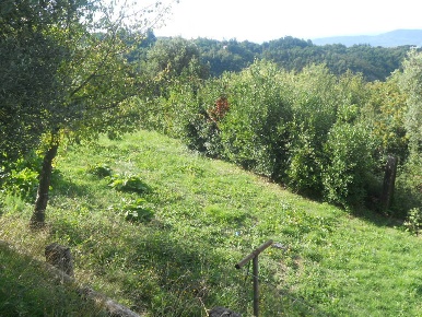 Foto Terreno agricolo in Via Alta, Sarzana Sarzanello, San Lazzaro
