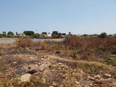 Foto Terreno agricolo a Siracusa Arenella di 1535 m² in vendita