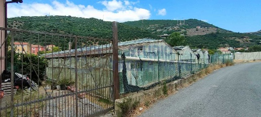 Foto Terreno agricolo in Argine Sinistro, Taggia di 950 m² in vendita