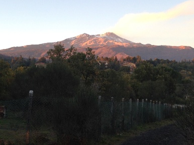 Foto Terreno agricolo in Via Tarderia 121, Pedara Centro di 1500 m²