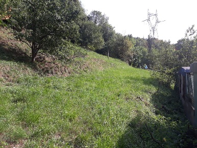 Foto Terreno edificabile a Serra Riccò di 3000 m² in vendita