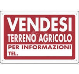 Foto Terreno agricolo a Pietrasanta di 1000 m² in vendita