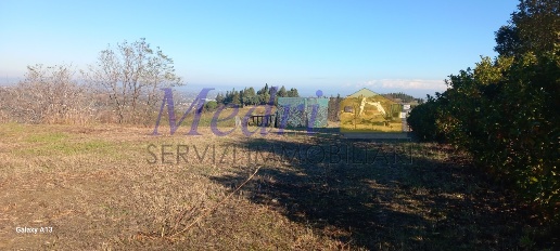 Foto Terreno agricolo in Via Al Castello 470, Montiano di 180 m² in vendita