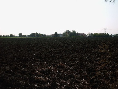 Foto Terreno agricolo in Via Montescudo 150, Rimini Villaggio Primo Maggio