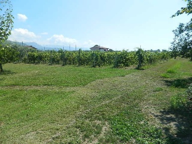 Foto Terreno edificabile a Castelnuovo Magra Colombiera Molicciara