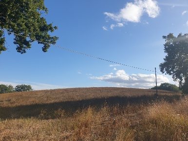 Foto Terreno agricolo a Lugnano in Teverina di 25000 m² in vendita