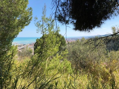 Foto Terreno edificabile a Grottammare di 980 m² in vendita