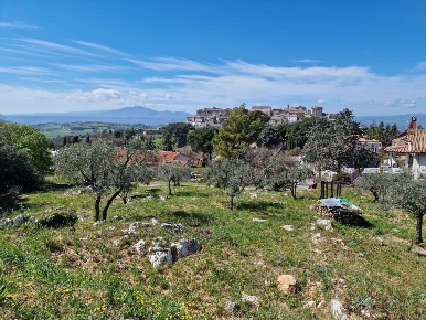 Foto Terreno edificabile in Via Madonna dei Pini, Lugnano in Teverina