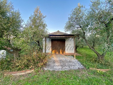 Foto Terreno agricolo in Via del Terminone, Cecina Cecina Centro di 30 m²