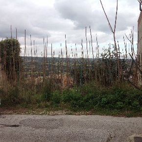 Foto Terreno edificabile a Canicattini Bagni di 288 m² in vendita