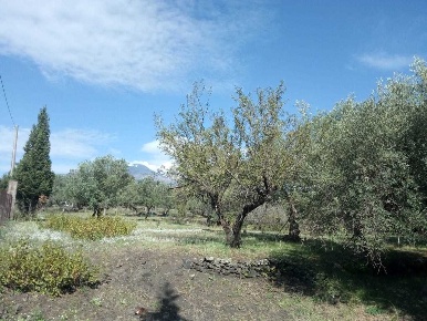 Foto Terreno edificabile a Pedara di 7000 m² in vendita