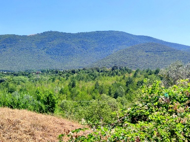 Foto Terreno edificabile in Via della Bandita, Montecchio di 600 m²
