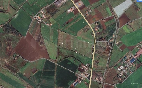 Foto Terreno agricolo a Cellole in vendita