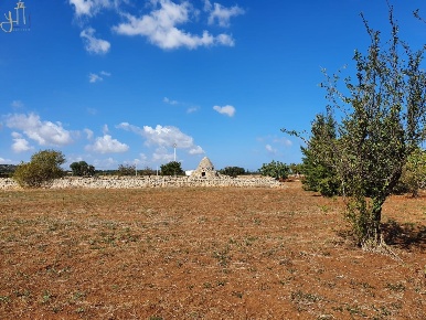 Foto Terreno edificabile in strada comunale cardaro, Polignano a Mare