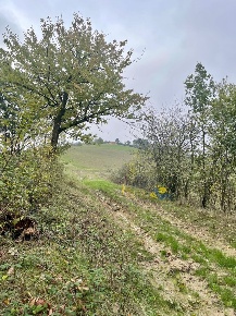 Foto Terreno agricolo in strada mulino segantini stecchina, Parma