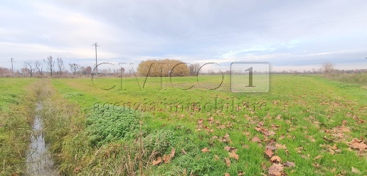 Foto Terreno agricolo in Via Vicenza snc, Camisano Vicentino Santa Maria