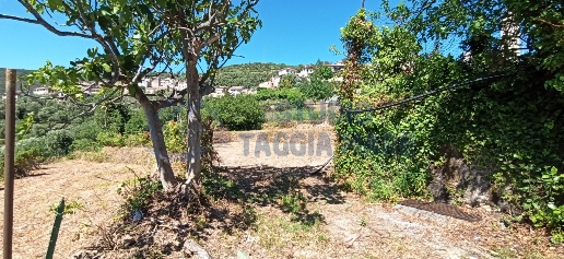 Foto Terreno agricolo in Via Mazzini, Pompeiana Centro di 2500 m²