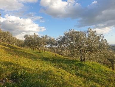 Foto Terreno agricolo in Via del Mattatoio, Lugnano in Teverina di 4500 m²