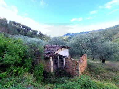 Foto Terreno agricolo in Località Curl, Perinaldo di 2300 m² in vendita